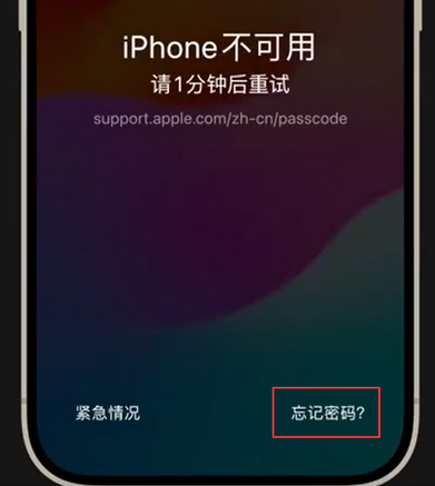 江西苹果手机密码维修分享iPhone忘记了刚设置的密码 